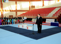 İdman gimnastikası üzrə Azərbaycanın ən güclüləri müəyyənləşdi. Bakı, Azərbaycan, 07 iyun 2013