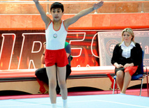 İdman gimnastikası üzrə Azərbaycanın ən güclüləri müəyyənləşdi. Bakı, Azərbaycan, 07 iyun 2013