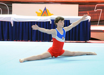 İdman gimnastikası üzrə Azərbaycanın ən güclüləri müəyyənləşdi. Bakı, Azərbaycan, 07 iyun 2013