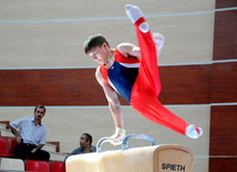 İdman gimnastikası üzrə Azərbaycanın ən güclüləri müəyyənləşdi. Bakı, Azərbaycan, 07 iyun 2013