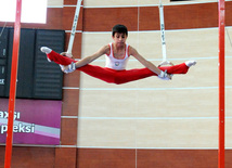 İdman gimnastikası üzrə Azərbaycanın ən güclüləri müəyyənləşdi. Bakı, Azərbaycan, 07 iyun 2013