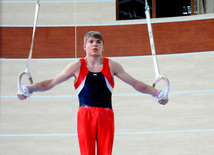 İdman gimnastikası üzrə Azərbaycanın ən güclüləri müəyyənləşdi. Bakı, Azərbaycan, 07 iyun 2013