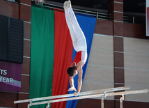 İdman gimnastikası üzrə Azərbaycanın ən güclüləri müəyyənləşdi. Bakı, Azərbaycan, 07 iyun 2013