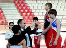 İdman gimnastikası üzrə Azərbaycanın ən güclüləri müəyyənləşdi. Bakı, Azərbaycan, 07 iyun 2013