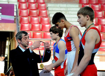 İdman gimnastikası üzrə Azərbaycanın ən güclüləri müəyyənləşdi. Bakı, Azərbaycan, 07 iyun 2013