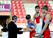 İdman gimnastikası üzrə Azərbaycanın ən güclüləri müəyyənləşdi. Bakı, Azərbaycan, 07 iyun 2013