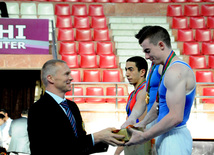 İdman gimnastikası üzrə Azərbaycanın ən güclüləri müəyyənləşdi. Bakı, Azərbaycan, 07 iyun 2013