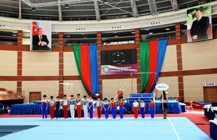 İdman gimnastikası üzrə Azərbaycanın ən güclüləri müəyyənləşdi. Bakı, Azərbaycan, 07 iyun 2013