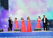 Baku holds concert and fireworks in honor of  National Salvation Day. Azerbaijan, June 15, 2013