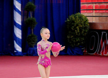 Bakıda bədii gimnastika üzrə 20-ci Azərbaycan birinciliyi başlayıb. Bakı, Azərbaycan, 24 iyun 2013