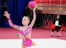 Bakıda bədii gimnastika üzrə 20-ci Azərbaycan birinciliyi başlayıb. Bakı, Azərbaycan, 24 iyun 2013