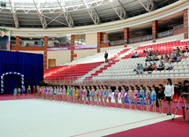 Bakıda bədii gimnastika üzrə 20-ci Azərbaycan birinciliyi başlayıb. Bakı, Azərbaycan, 24 iyun 2013