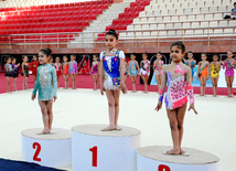 Bakıda bədii gimnastika üzrə 20-ci Azərbaycan birinciliyi başlayıb. Bakı, Azərbaycan, 24 iyun 2013