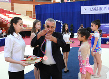 Bakıda bədii gimnastika üzrə 20-ci Azərbaycan birinciliyi başlayıb. Bakı, Azərbaycan, 24 iyun 2013