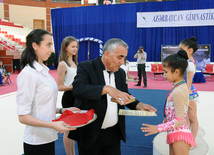 Bakıda bədii gimnastika üzrə 20-ci Azərbaycan birinciliyi başlayıb. Bakı, Azərbaycan, 24 iyun 2013