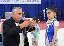 Bakıda bədii gimnastika üzrə 20-ci Azərbaycan birinciliyi başlayıb. Bakı, Azərbaycan, 24 iyun 2013