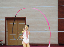 Bədii gimnastika üzrə XX Azərbaycan birinciliyinin qalibləri müəyyən edilib. Bakı, Azərbaycan, 26 iyun 2013