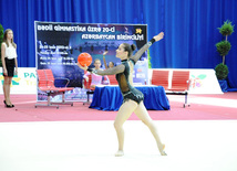 Bədii gimnastika üzrə XX Azərbaycan birinciliyinin qalibləri müəyyən edilib. Bakı, Azərbaycan, 26 iyun 2013