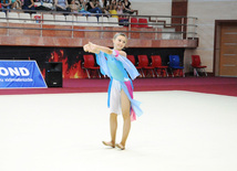 Bədii gimnastika üzrə XX Azərbaycan birinciliyinin qalibləri müəyyən edilib. Bakı, Azərbaycan, 26 iyun 2013