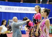 Bədii gimnastika üzrə XX Azərbaycan birinciliyinin qalibləri müəyyən edilib. Bakı, Azərbaycan, 26 iyun 2013