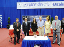 Bədii gimnastika üzrə XX Azərbaycan birinciliyinin qalibləri müəyyən edilib. Bakı, Azərbaycan, 26 iyun 2013