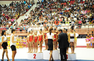 Bədii gimnastika üzrə XX Azərbaycan birinciliyinin qalibləri müəyyən edilib. Bakı, Azərbaycan, 26 iyun 2013