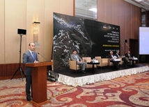 An international conference on "Conflicts in the Caucasus: History, Present and Prospects for Settlement". Baku, Azerbaijan, July 08, 2013