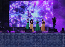 A concert and fireworks on the anniversary of Heydar Aliyev's coming to power in Azerbaijan. Baku, Azerbaijan, July 14, 2013