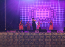 A concert and fireworks on the anniversary of Heydar Aliyev's coming to power in Azerbaijan. Baku, Azerbaijan, July 14, 2013