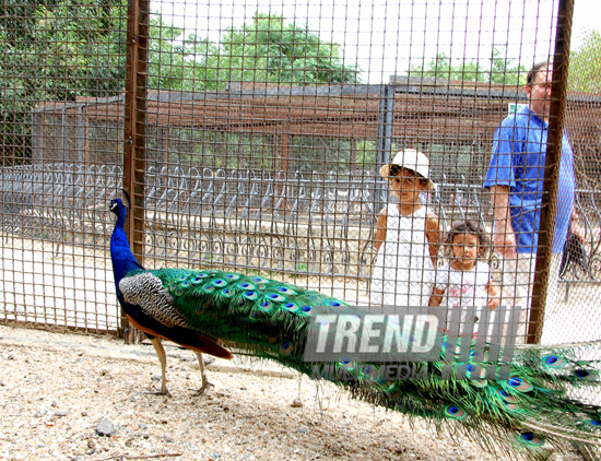 Baku zoo. Azerbaijan, Aug.03, 2013