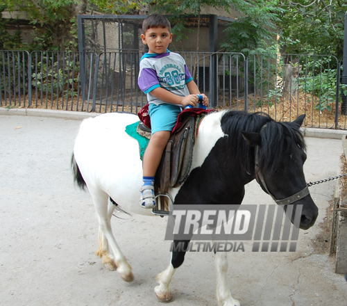 Baku zoo. Azerbaijan, Aug.03, 2013