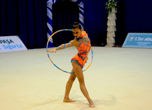 Bədii gimnastika üzrə XX Bakı çempionatı. Bakı, Azərbaycan, 11 oktyabr 2013