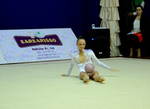 Bədii gimnastika üzrə XX Bakı çempionatı. Bakı, Azərbaycan, 11 oktyabr 2013