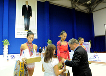 Bədii gimnastika üzrə XX Bakı çempionatı. Bakı, Azərbaycan, 11 oktyabr 2013