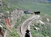 Qırız kəndi. Quba, Azərbaycan, 31 oktyabr 2013