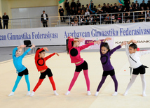 Bədii gimnastika üzrə 20-ci Azərbaycan çempionatının qalibləri müəyyən edilib. İsmayıllı, Azərbaycan, 19 noyabr 2013