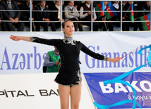 Bədii gimnastika üzrə 20-ci Azərbaycan çempionatı. İsmayıllı, Azərbaycan, 19 noyabr 2013