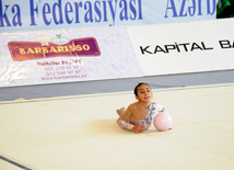 Bədii gimnastika üzrə 20-ci Azərbaycan çempionatı. İsmayıllı, Azərbaycan, 19 noyabr 2013