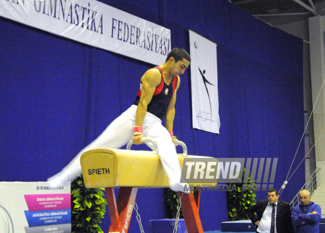 İdman gimnastikası, akrobatika və tamblinq üzrə birləşmiş Azərbaycan çempionatı. Bakı, Azərbaycan, 18 dekabr 2013