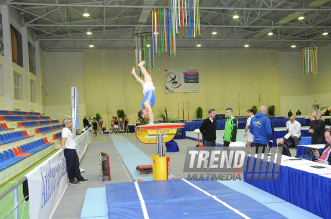 İdman gimnastikası, akrobatika və tamblinq üzrə birləşmiş Azərbaycan çempionatı. Bakı, Azərbaycan, 18 dekabr 2013