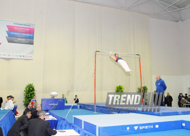 İdman gimnastikası, akrobatika və tamblinq üzrə birləşmiş Azərbaycan çempionatı. Bakı, Azərbaycan, 18 dekabr 2013