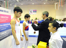 İdman gimnastikası, akrobatika və tamblinq üzrə birləşmiş Azərbaycan çempionatı. Bakı, Azərbaycan, 18 dekabr 2013