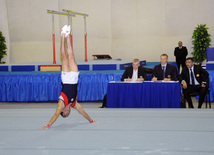 İdman gimnastikası, akrobatika və tamblinq üzrə birləşmiş Azərbaycan çempionatı. Bakı, Azərbaycan, 18 dekabr 2013