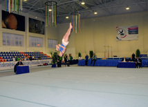 İdman gimnastikası, akrobatika və tamblinq üzrə birləşmiş Azərbaycan çempionatı. Bakı, Azərbaycan, 18 dekabr 2013