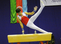 İdman gimnastikası, akrobatika və tamblinq üzrə birləşmiş Azərbaycan çempionatı. Bakı, Azərbaycan, 18 dekabr 2013