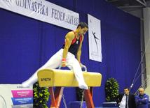 İdman gimnastikası, akrobatika və tamblinq üzrə birləşmiş Azərbaycan çempionatı. Bakı, Azərbaycan, 18 dekabr 2013