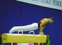 İdman gimnastikası, akrobatika və tamblinq üzrə birləşmiş Azərbaycan çempionatı. Bakı, Azərbaycan, 18 dekabr 2013