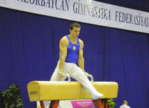 İdman gimnastikası, akrobatika və tamblinq üzrə birləşmiş Azərbaycan çempionatı. Bakı, Azərbaycan, 18 dekabr 2013