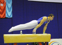 İdman gimnastikası, akrobatika və tamblinq üzrə birləşmiş Azərbaycan çempionatı. Bakı, Azərbaycan, 18 dekabr 2013