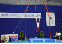 İdman gimnastikası, akrobatika və tamblinq üzrə birləşmiş Azərbaycan çempionatı. Bakı, Azərbaycan, 18 dekabr 2013